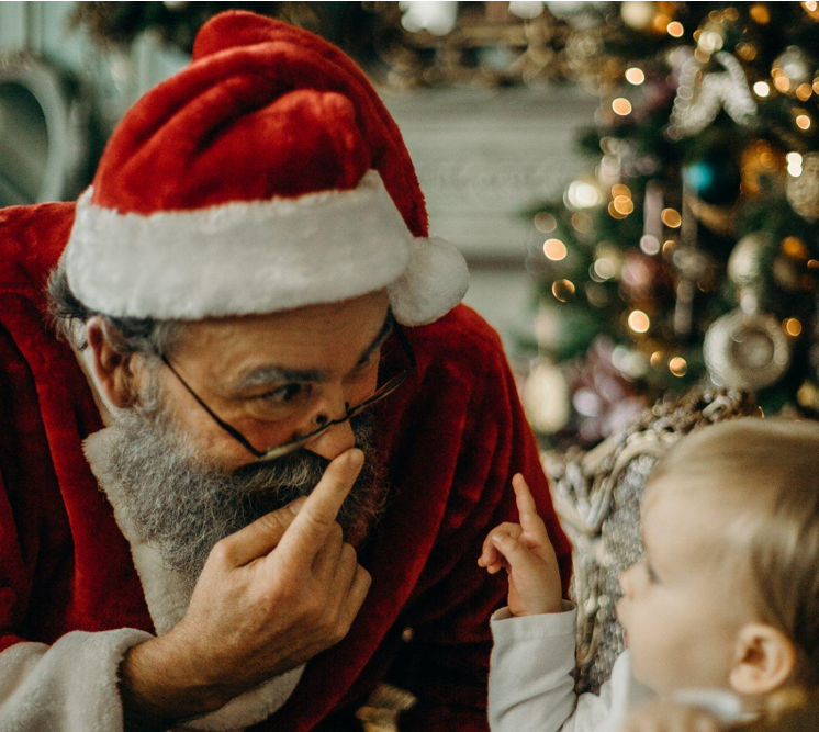 Bringing Holiday Magic Home with Pre-Lit Trees